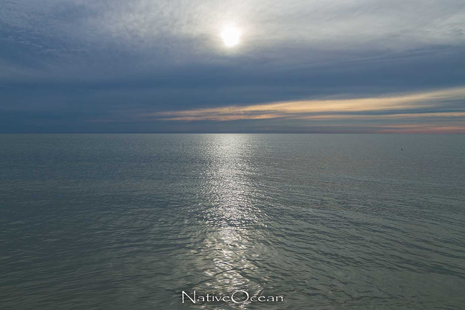 20160112 164507  I7A9678